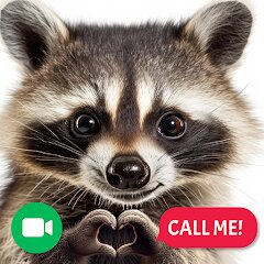Raccoon Prank Call & Chat icon